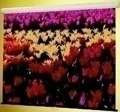 Claridge Products And Equipment, Inc. Mira - 120 Inch. X 120 Inch.