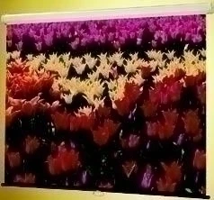 Claridge Products And Equipment, Inc. Mira - 50 Inch. X 50 Inch.