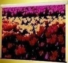 Claridge Products And Equipment, Inc. Mira - 70 Inch. X 70 Inch.