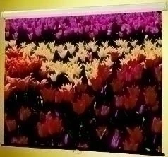 Claridge Products And Equipment, Inc. Mira - 84 Inch. X 84 Inch.